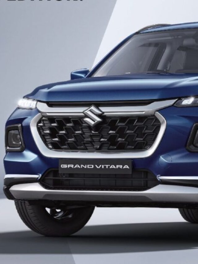 cropped Grand Vitara domination edition.jpg