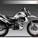 Hero Xpulse 300T