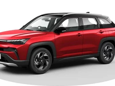 Sizzling Red With Bluish Black Roof